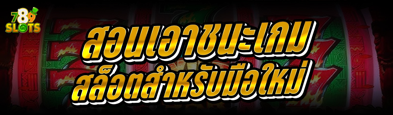card__image
